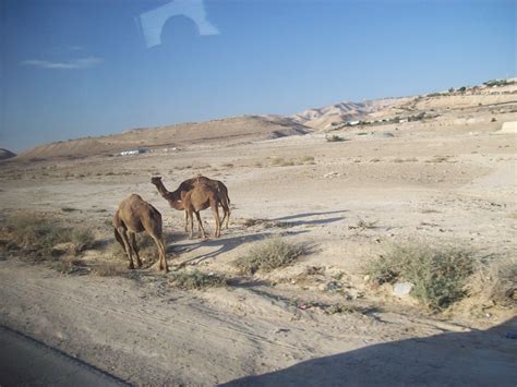Ierusalim, Israel | Informații turistice