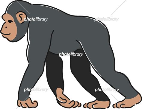 photolibrary