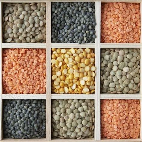 pulses wholesale price mandi rate  dal  india