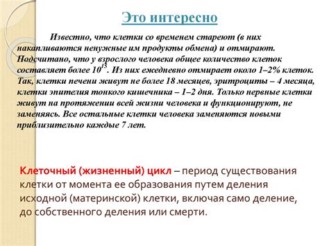 Деление клетки. Митоз - презентация онлайн