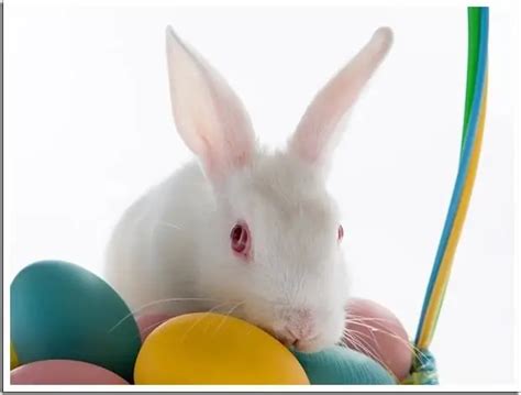 how to calculate when easter is