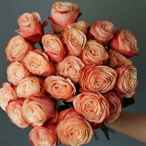 A Bunch of Orange Roses | Florabella Flowers