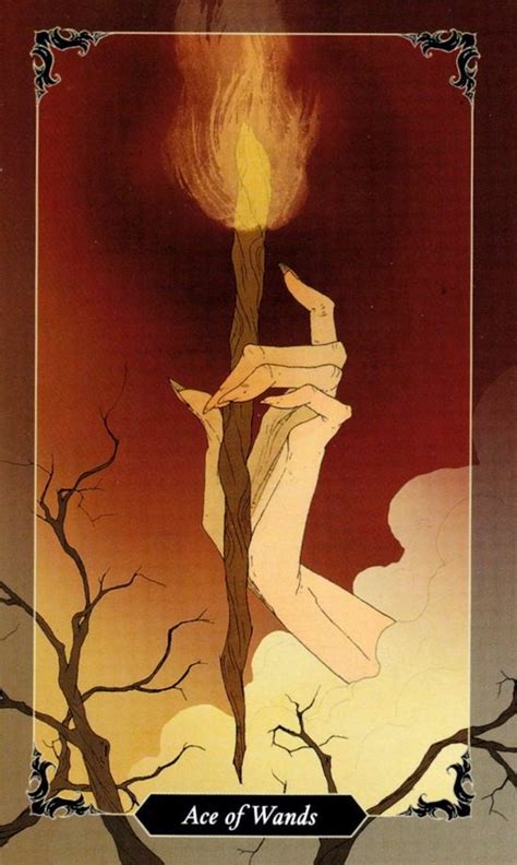 Туз Жезлов/ Dark Wood Tarot – Гримуар Зеленой Ведьмы
