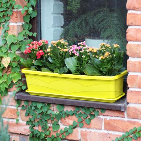 Ящик балконный + подд. 60см, h-15см, 9л фисташковый