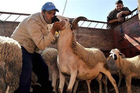 موعد عيد الأضحى 2024 في المغرب | السابعة الإخبارية