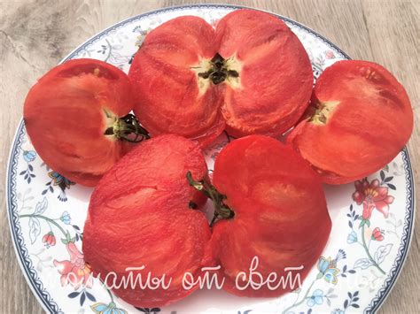 Немецкий розовый Йодера - семена томатов