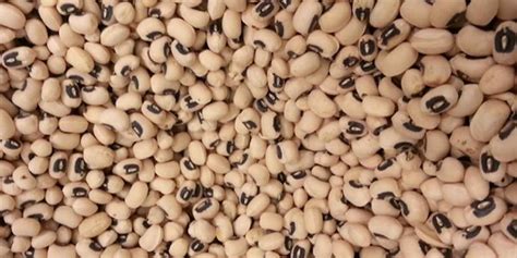 Can You Plant Black-Eyed Peas From The Grocery Store?