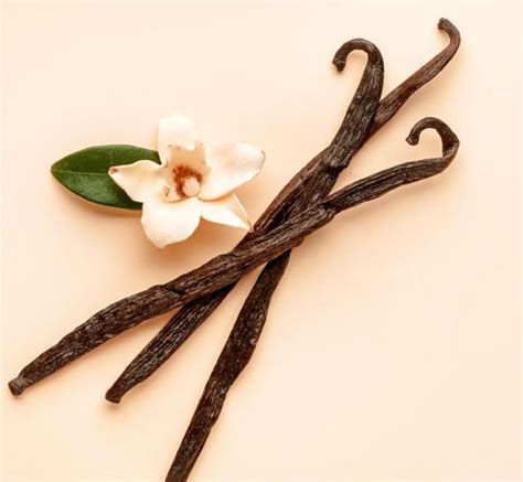 What are the differences between natural vanilla flavor and vanilla ...