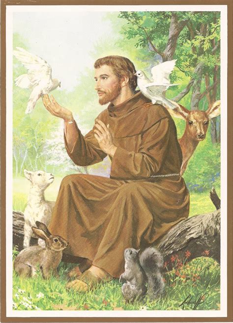 st francis  assisi