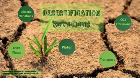 Desertification Solutions by MARTA GHERARDI GAYO on Prezi