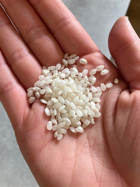 Japanese Rice Basics - Dining and Cooking