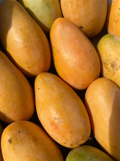 MANGO | CREMA DE ORO BOX 10-12 (4KG) – Pardess Farms