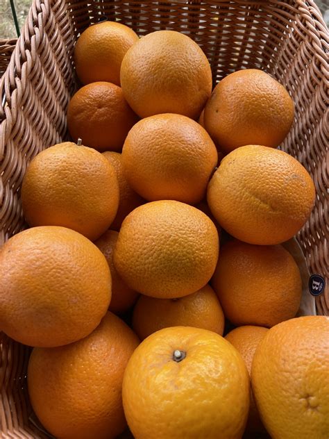 Oranges - Pack of 4 - Perryhill Orchards