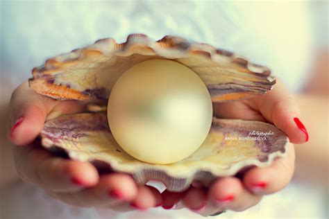 Ракушка с жемчужиной - фото и картинки: 57 штук