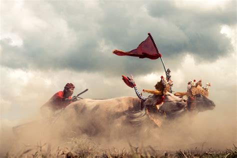 bull race told  bram paulussen