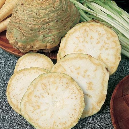 Корень сельдерея - Кулинарная энциклопедия от Гранд кулинара