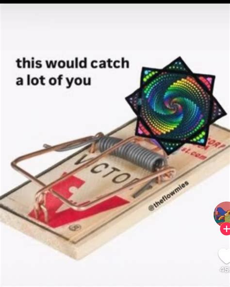 Alexis Evans (@alexisaevans) • Instagram photos and videos