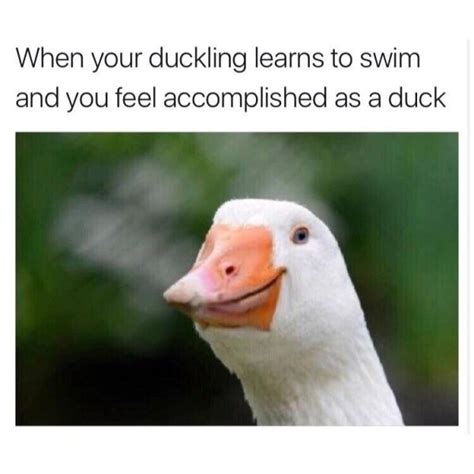 24 Positives Memes To Make You Feel Warm Inside | Pleated Jeans