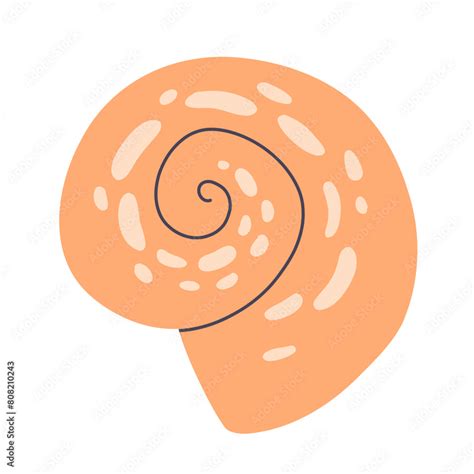 sea shell cartoon icon ocean exotic underwater seashell conch aquatic