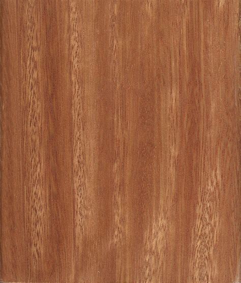 Karri | The Wood Database (Hardwood)