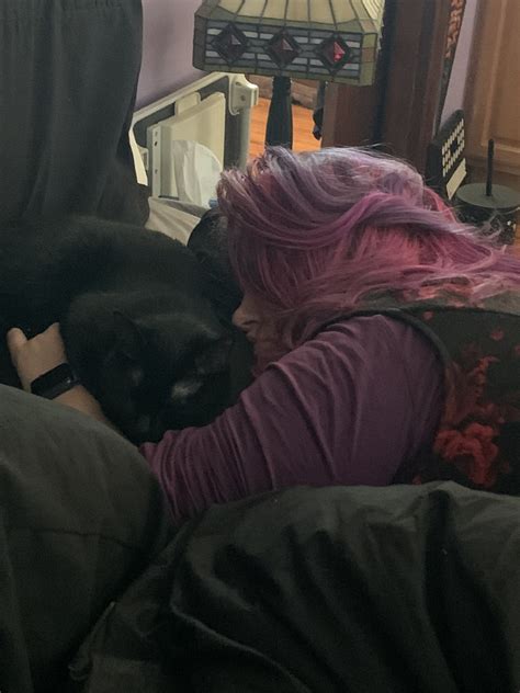 Darcy the Mail Cat (@darcythemailcat) / Twitter