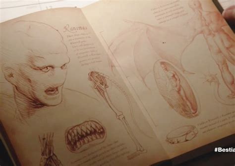 Kanima | TeenWolf Next Generation Wikia | FANDOM powered by Wikia