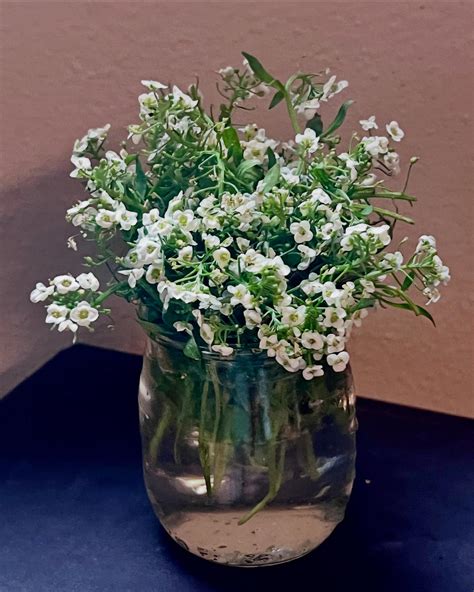 Nettie Harris (@nettier.harris) • Instagram photos and videos