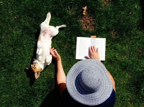 Sharpening the Axe: Finding The Best Dog Training Books - Canine Habit