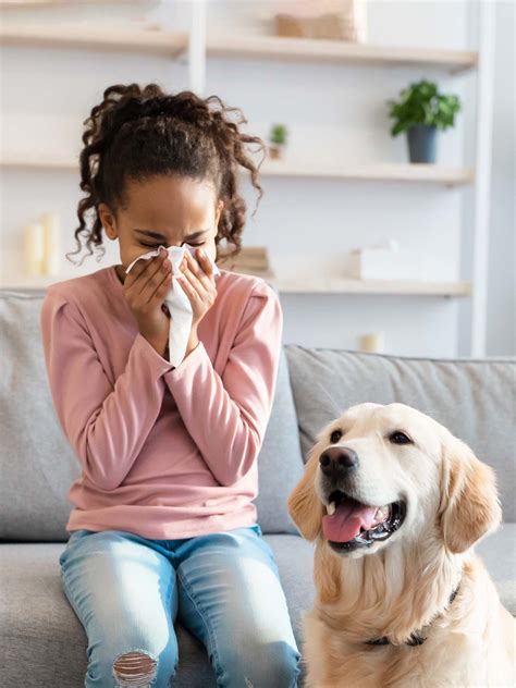 Do Pet Allergies Get Better With Exposure at Heriberto Barry blog