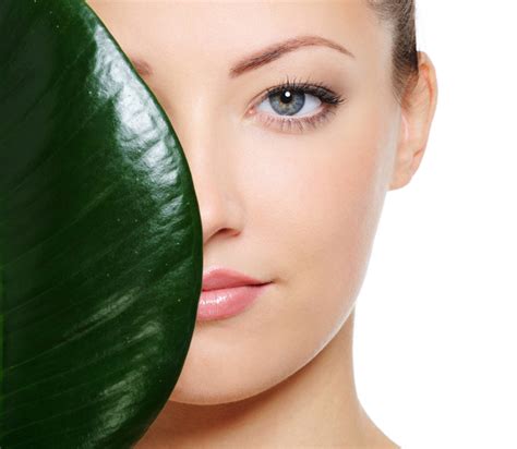 skin care   popular skin care beauty products