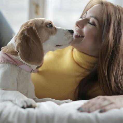 ¿Qué significa soñar que estás embarazada? Esta es la verdad detrás de