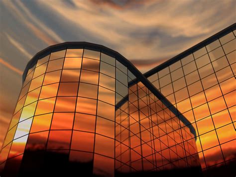 Home and Office Tinting