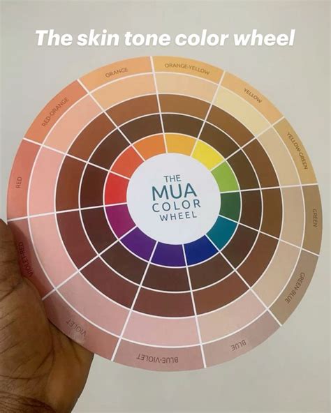 skin tone color wheel  makeup artists   mua assist