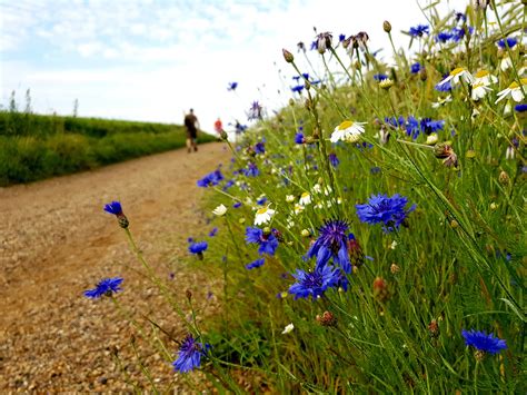 Niewykorzystany urlop w Danii – zasady - Pomoc w Danii