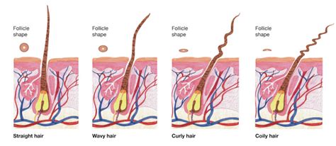 Fio De Cabelo Grosso E Irregular - Fio a fio... Tudo sobre tipos de cabelo - Lush Portugal