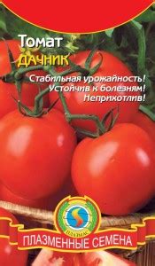 Томат «Дачник». Отзывы. Фото, кто сажал?