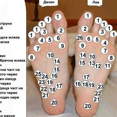 Точките на стъпалата, които е важно да знаете при много здравословни ...