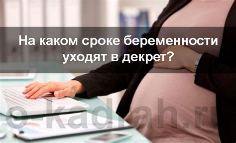 Во сколько недель уходят в декрет в 2024 году | o-kadrah.ru