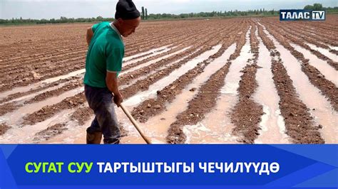Сугат суу тартыштыгы чечилүүдө - YouTube