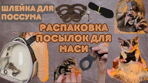 ЛУЧШИЕ АКСЕССУАРЫ ДЛЯ САХАРНОГО ПОССУМА . Распаковка ПОСЫЛОК - YouTube