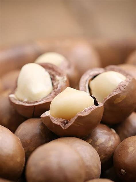 Macadamia Nuts - Maravi Traders