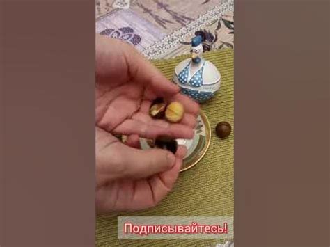 КАК ОТКРЫТЬ ОРЕХИ МАКАДАМИЯ?? КЛЮЧИК ДЛЯ ОРЕШКОВ! - YouTube