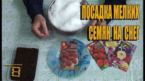 ПОСАДКА МЕЛКИХ СЕМЯН НА СНЕГ. ПРОСТОЙ СПОСОБ ПОСАДКИ МЕЛКИХ СЕМЯН # ...