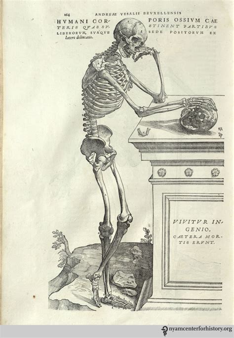 Vesalius_Fabrica_1543_Lambert_164_watermark | Books, Health and History