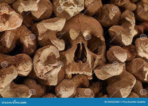 skulls  bones   wall stock image image  array