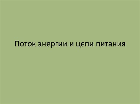 Поток энергии и цепи питания - презентация онлайн