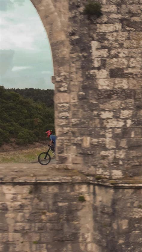 Coccozella+Beach+Video Videos, Download The BEST Free 4k Stock Video