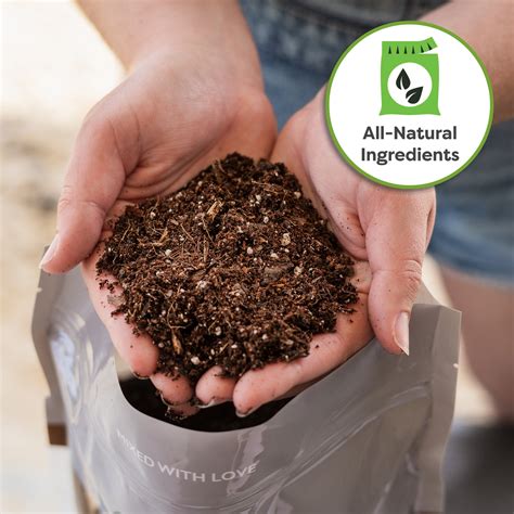 best money tree soil 12