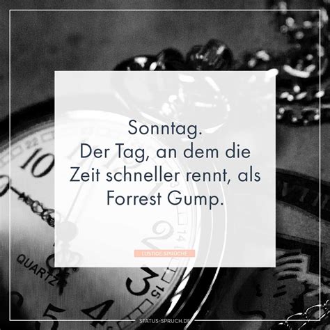 lustige sprueche  sprueche die dich zum lachen bringen