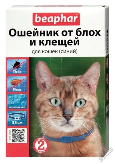 Ошейник от блох для кошек эффективность: Инструкция и реальные факты ...